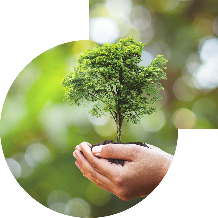 �P��������Ļ����h���c���