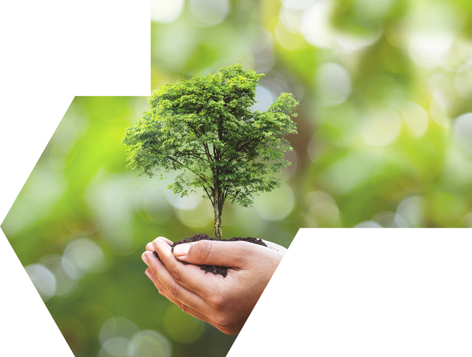 ��������rֵ