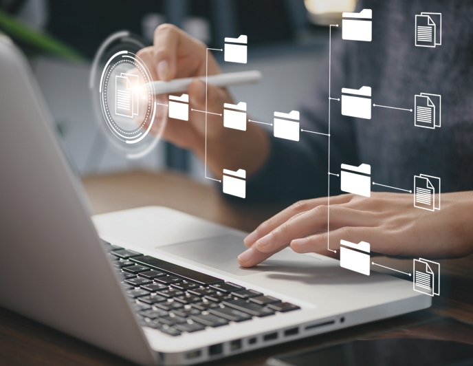 �ǻ�����